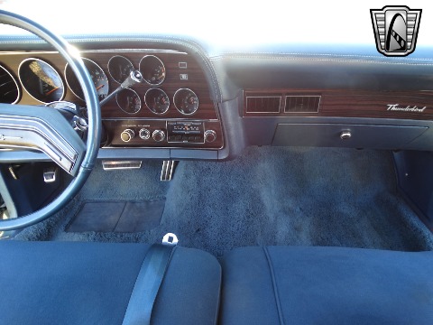 1978 Ford Thunderbird image 100
