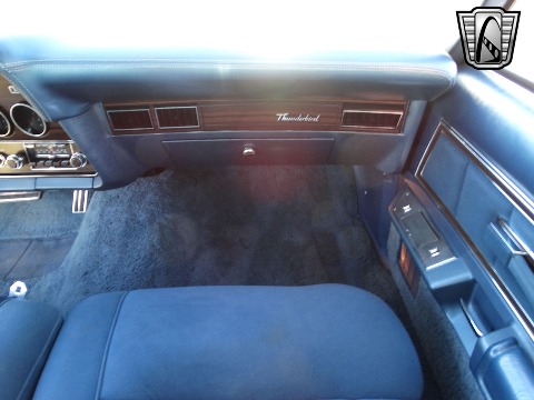 1978 Ford Thunderbird image 101