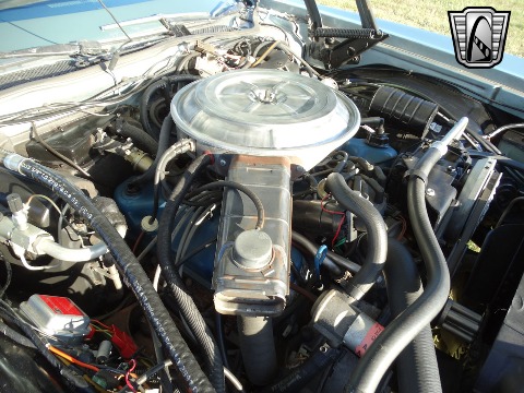 1978 Ford Thunderbird image 79