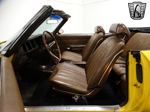 1970 Buick Skylark image 104