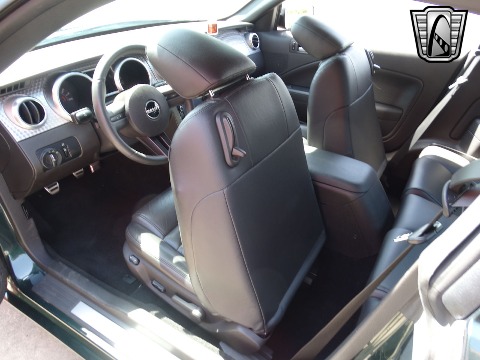 2008 Ford Mustang image 116