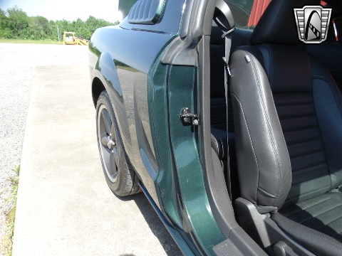 2008 Ford Mustang image 130