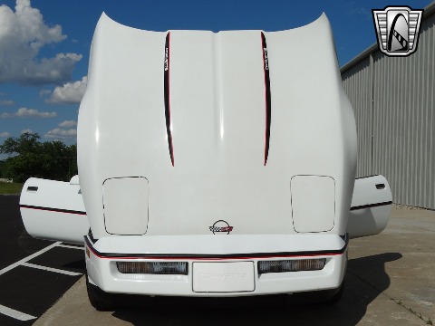1989 Chevrolet Corvette image 43
