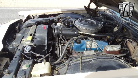 1979 Lincoln Continental image 107