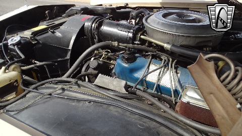 1979 Lincoln Continental image 108