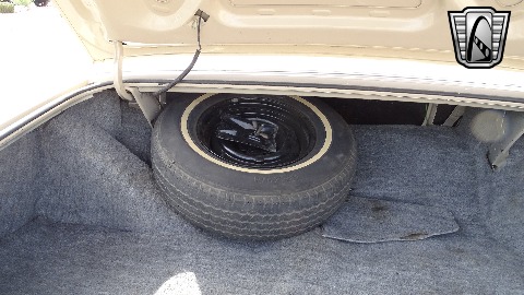 1979 Lincoln Continental image 113