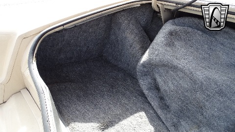 1979 Lincoln Continental image 114