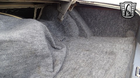 1979 Lincoln Continental image 115