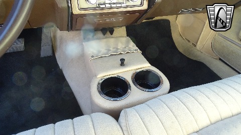 1981 Pontiac Bonneville image 85