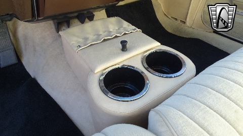 1981 Pontiac Bonneville image 87