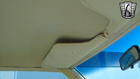 1981 Pontiac Bonneville image 96