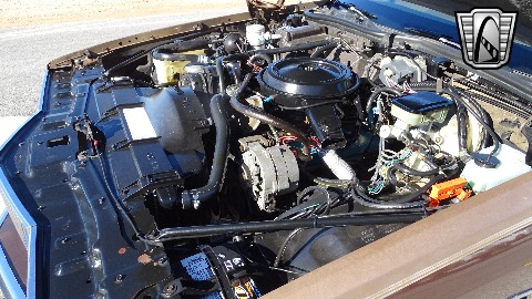 1981 Pontiac Bonneville image 103