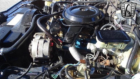 1981 Pontiac Bonneville image 104