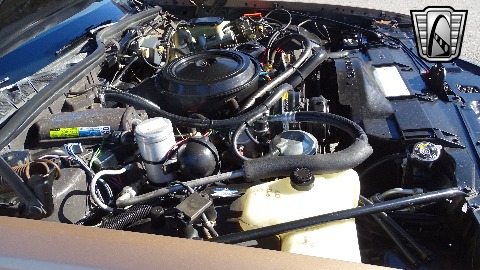 1981 Pontiac Bonneville image 105