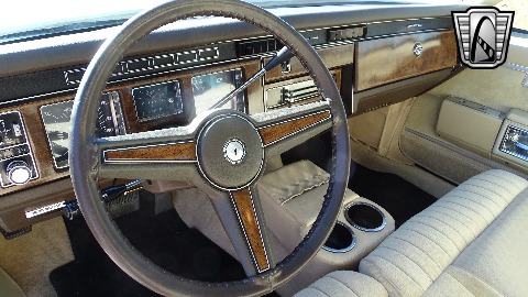 1981 Pontiac Bonneville image 80