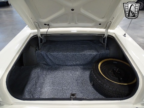 1965 Ford Galaxie image 126