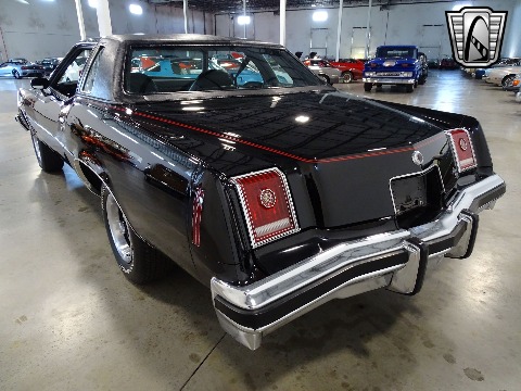 1977 Pontiac Grand Prix image 13