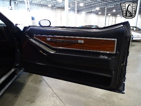 1977 Pontiac Grand Prix image 91