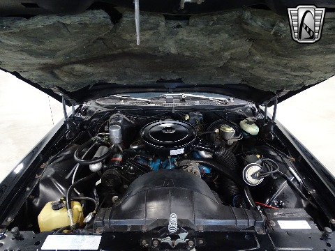 1977 Pontiac Grand Prix image 93