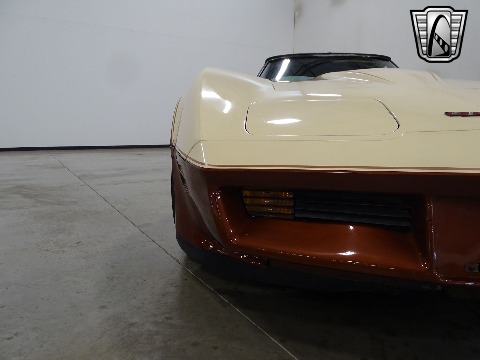 1981 Chevrolet Corvette image 29