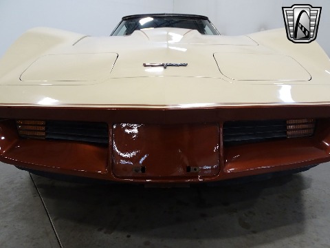 1981 Chevrolet Corvette image 30