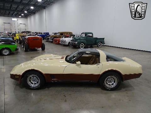 1981 Chevrolet Corvette image 5
