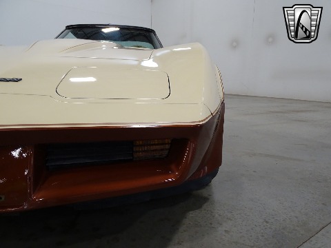1981 Chevrolet Corvette image 31