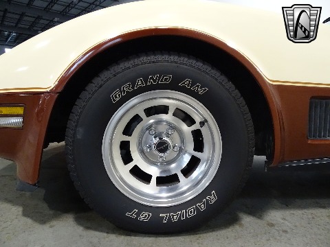 1981 Chevrolet Corvette image 109