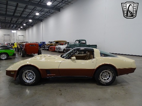 1981 Chevrolet Corvette image 6