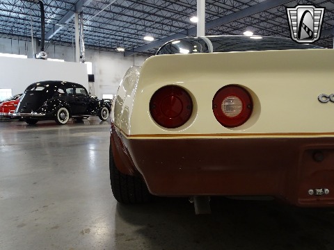 1981 Chevrolet Corvette image 32