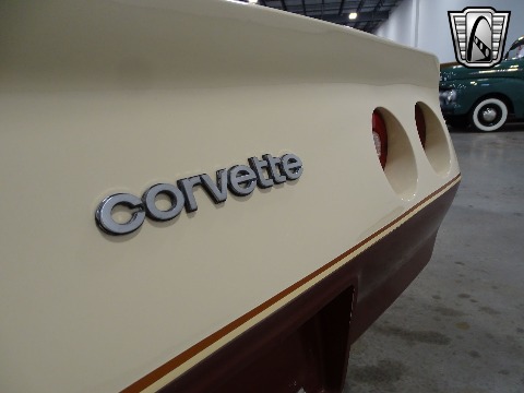 1981 Chevrolet Corvette image 58