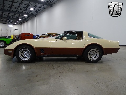 1981 Chevrolet Corvette image 7