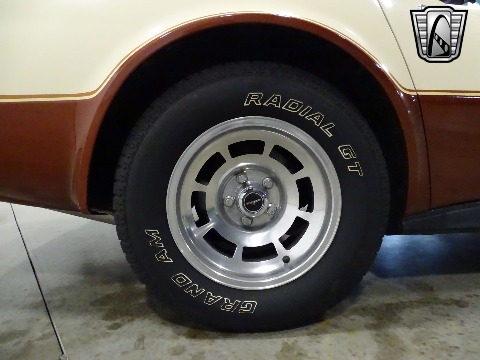 1981 Chevrolet Corvette image 111