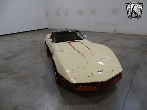 1981 Chevrolet Corvette image 8