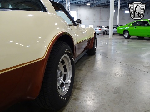 1981 Chevrolet Corvette image 60