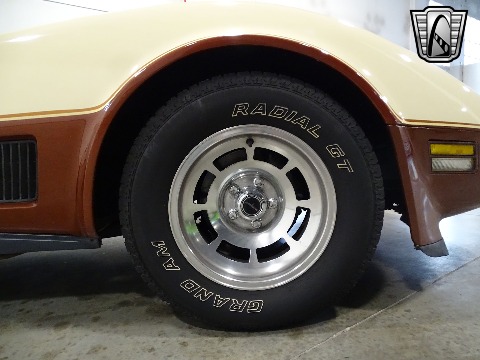 1981 Chevrolet Corvette image 112