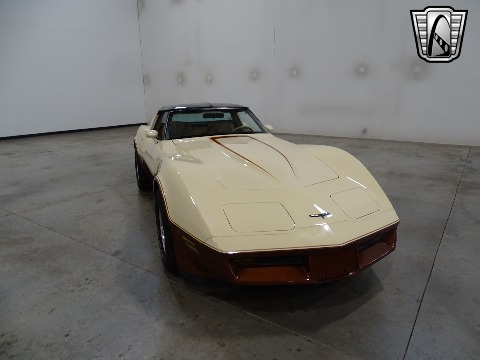 1981 Chevrolet Corvette image 9