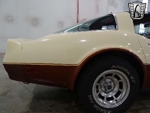 1981 Chevrolet Corvette image 35