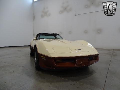 1981 Chevrolet Corvette image 10