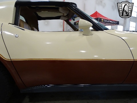 1981 Chevrolet Corvette image 36