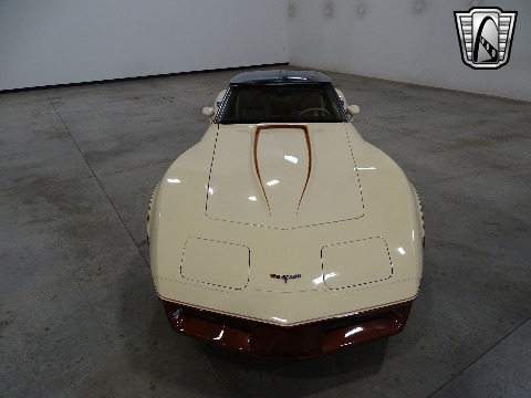1981 Chevrolet Corvette image 11