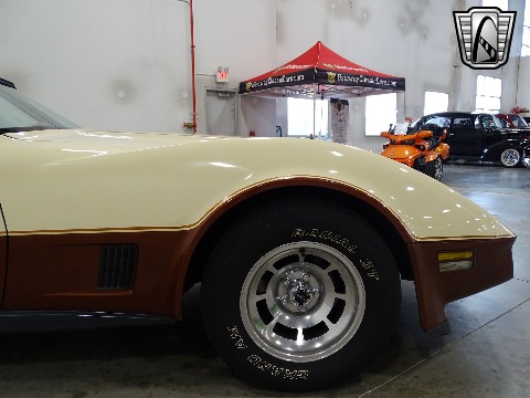 1981 Chevrolet Corvette image 37