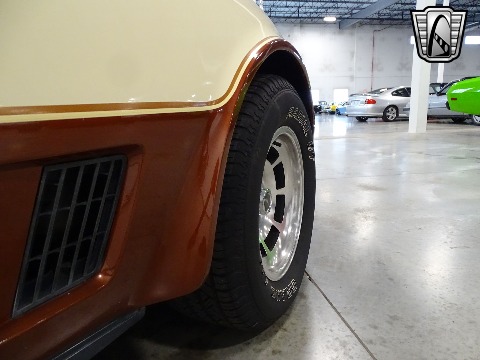 1981 Chevrolet Corvette image 63