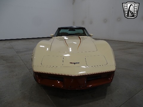 1981 Chevrolet Corvette image 12