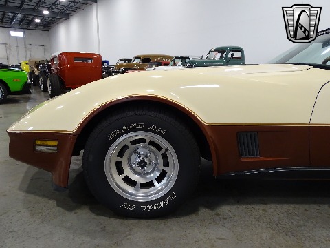 1981 Chevrolet Corvette image 38