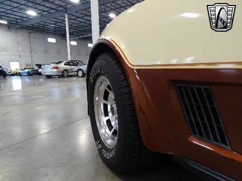 1981 Chevrolet Corvette image 64