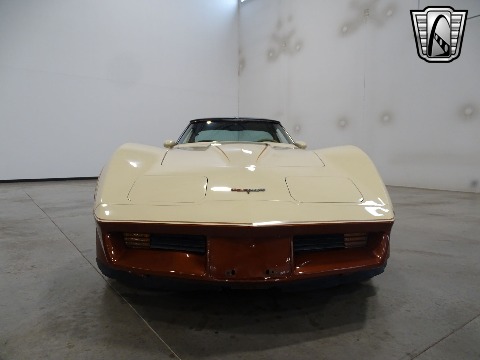 1981 Chevrolet Corvette image 13