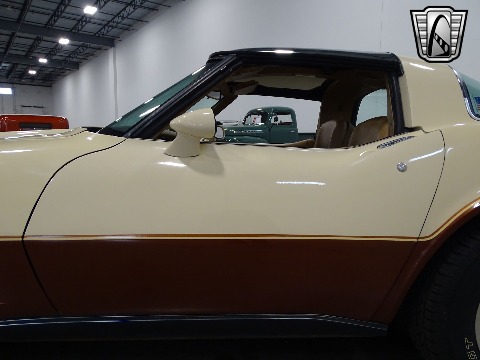 1981 Chevrolet Corvette image 39