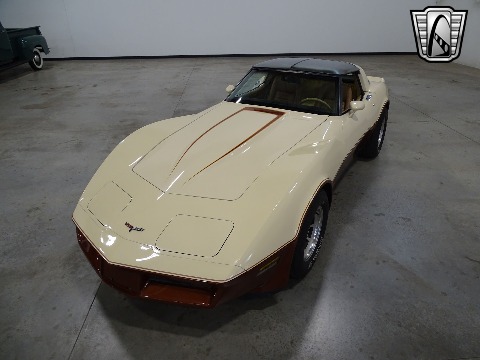 1981 Chevrolet Corvette image 14