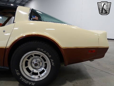 1981 Chevrolet Corvette image 40